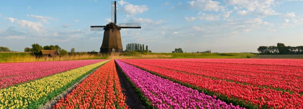 Despite Positive Signs, Dutch Growth Faces Hurdles | Financial Tribune