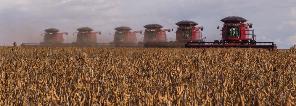 If a US-China trade war develops, it could reduce Brazil’s 2019 GDP by 1.1%. Picture shows harvesting soybeans in Brazil.