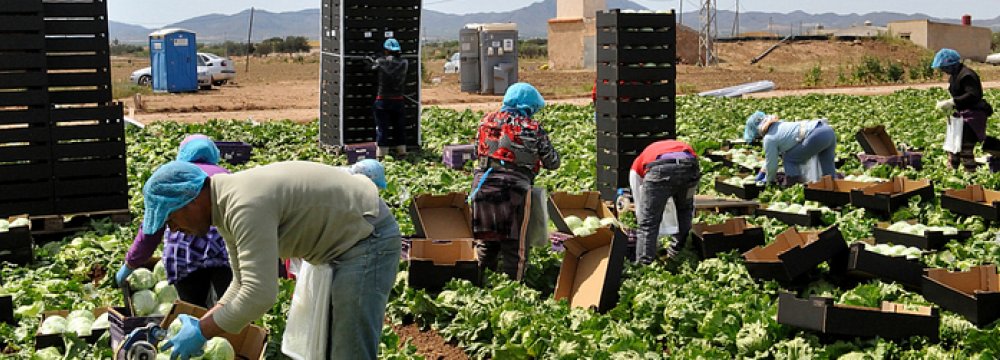 Spain Labor Reform Delivers Jobs, But At Heavy Price | Financial Tribune