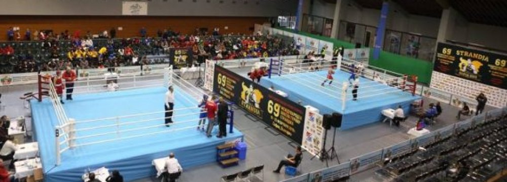 Boxers Take 2 Silvers, 1 Bronze in Bulgaria