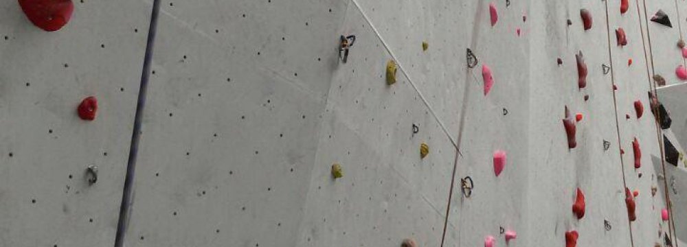 Youth Climber Takes Silver