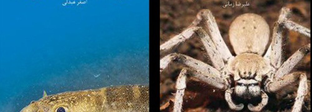 Field Guides to Fish Species, Spiders &amp; Scorpions