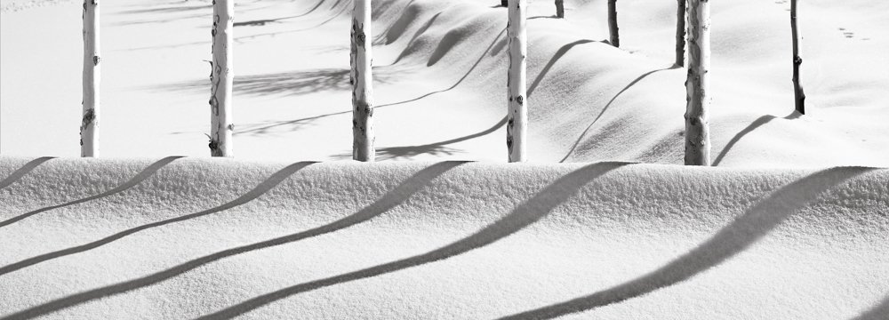 A photo from the ‘Snow’ series by Kiarostami