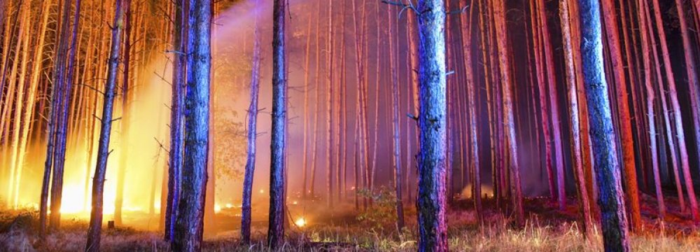 Huge Wildfire Spreads Southwest of Berlin
