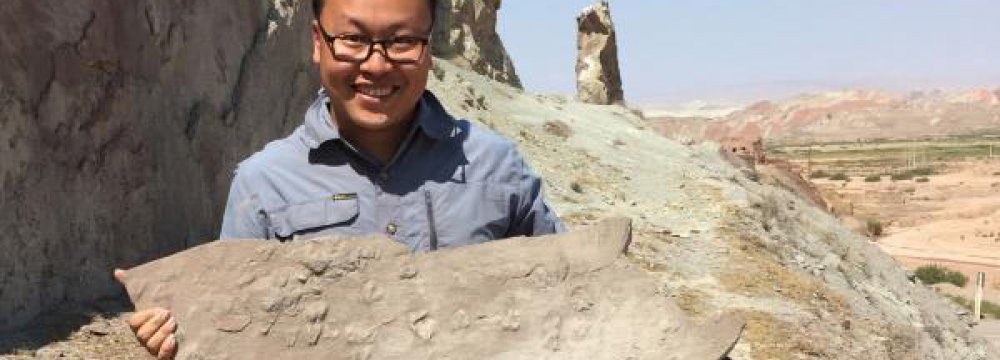 170m-Year Fossils Reveal Dinosaurs Roamed Alborz