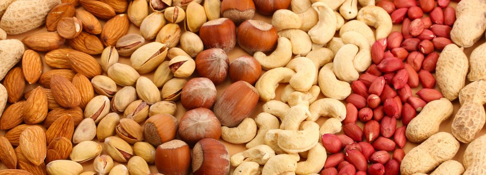 Iran a Major Exporter of Nuts