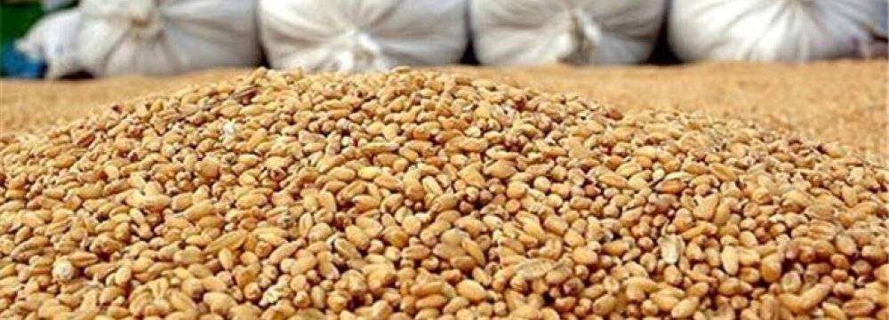 Corn, Rice Top List of Iran Imports