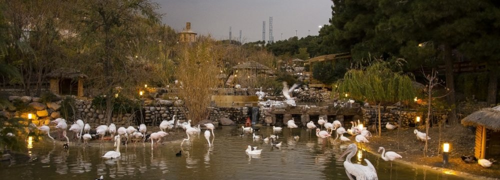 Bird Garden in Lavizan