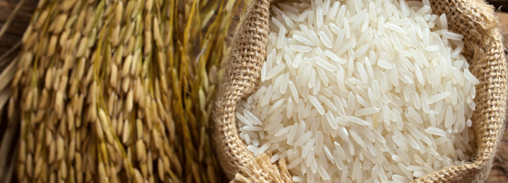 Iran imposes an all-out ban on rice imports during harvest seasons.