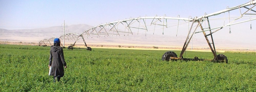 The government is investing 15 trillion rials ($395.5m) on agricultural mechanization in the current year (March 2017-18), 25% more compared with last year’s investment. 