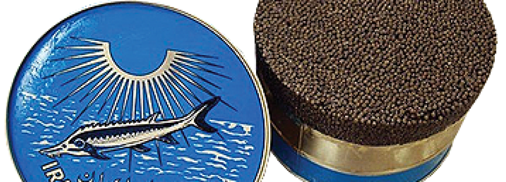 Iran, UNESCO to Set Up Nat’l Caviar Museum in Gilan  