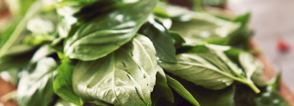 Plan to Boost Export of Medicinal Herbs