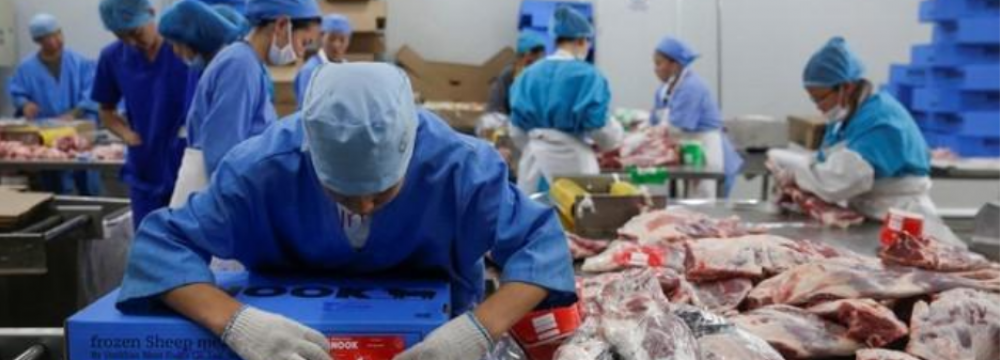 A worker packages frozen sheep meat at Darkhan Meat Foods that produces halal meat in Darkhan-Uul Province,  Mongolia, on Aug. 13.