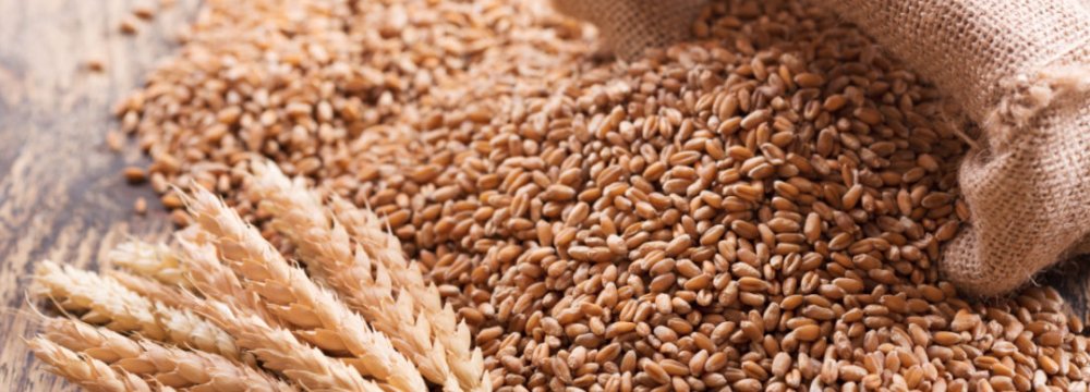 Iran Buying Record Volume of Wheat After Worst Drought in 50 Years