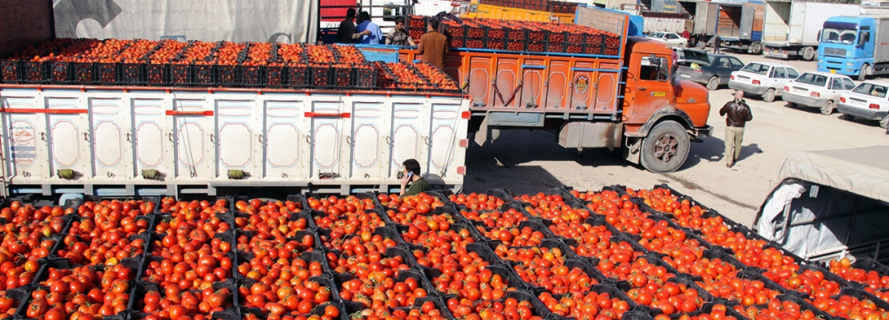 Ban on Tomato Paste Exports Lifted