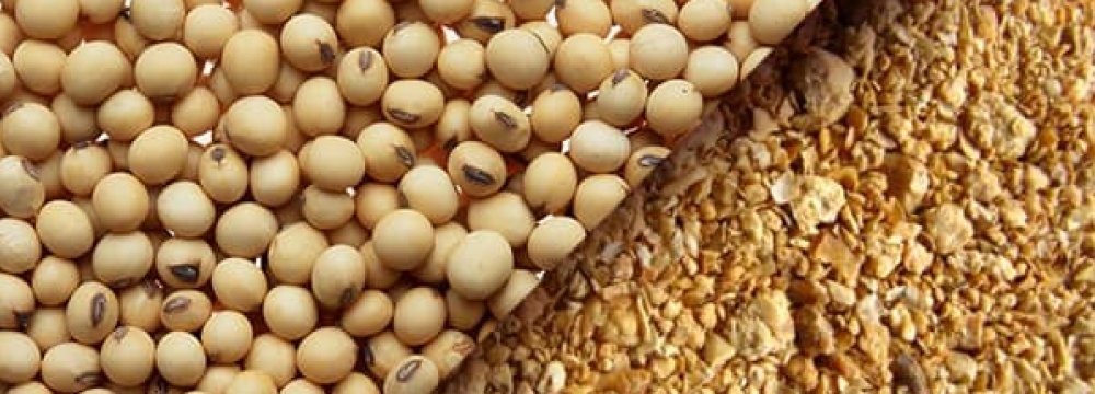 Iran to Import 120K Tons of Soymeal