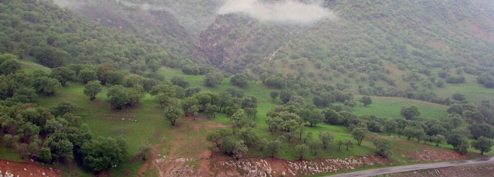 Call to Help Save Zagros Forest Region 