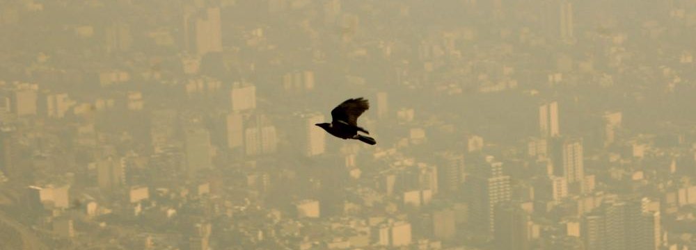 Air Pollution Closes Kahrizak, Rey Schools