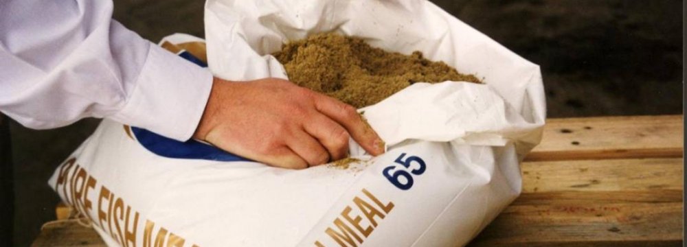 Fishmeal Industry’s Investment Potential
