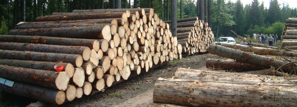 FRW Concerned Over Declining Forests 