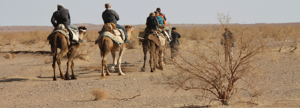 Maranjab Camel Rally