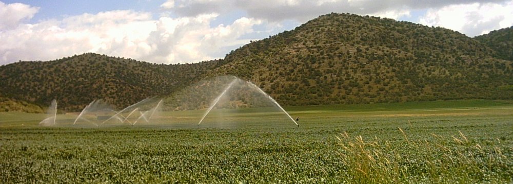 Alborz, West Azarbaijan, and Tehran reportedly have the largest areas of farmlands irrigated with raw sewage.