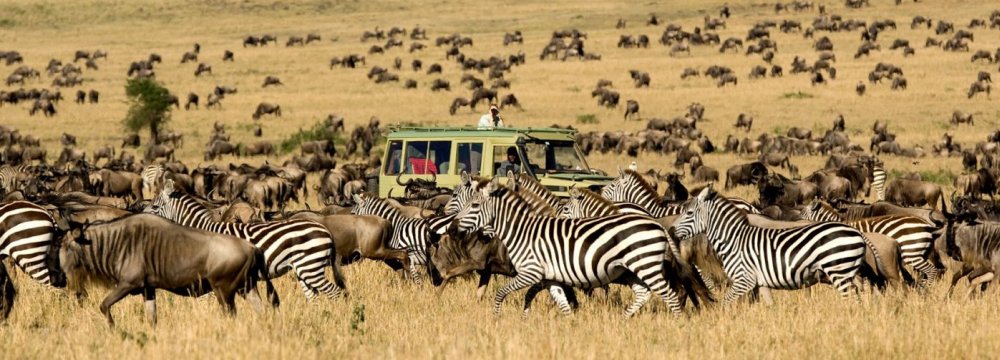 UNWTO: Tourism Can Help Preserve Biodiversity 