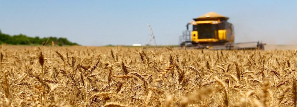 A record high of over 14 million tons of wheat were domestically produced this crop year.