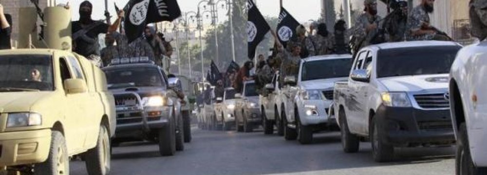 Egyptian Militants Pledge Loyalty to IS
