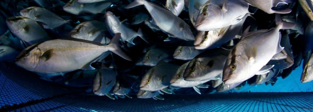 Aquaculture Deal With Norway’s AKVA Group, Aqualine