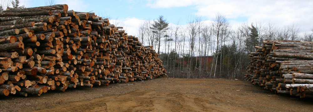 Iran’s demand for timber is estimated to reach 13 million cubic meters in five years.