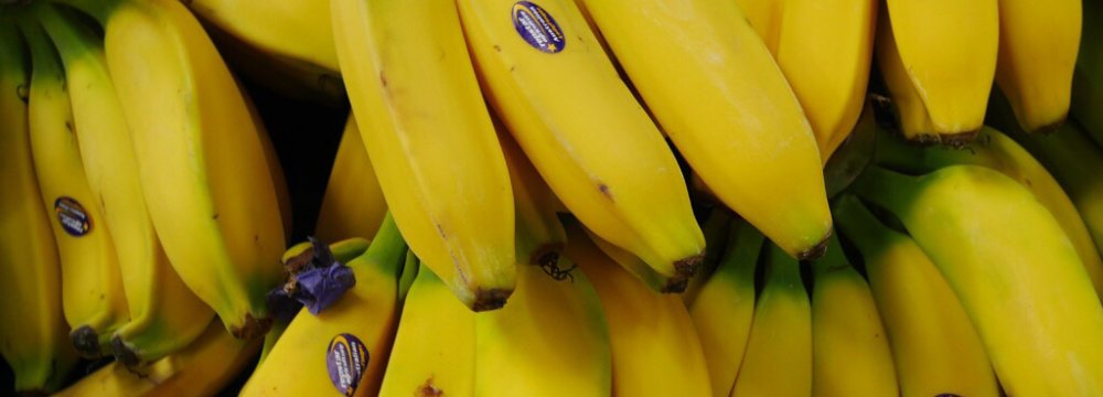 Banana Prices Rise