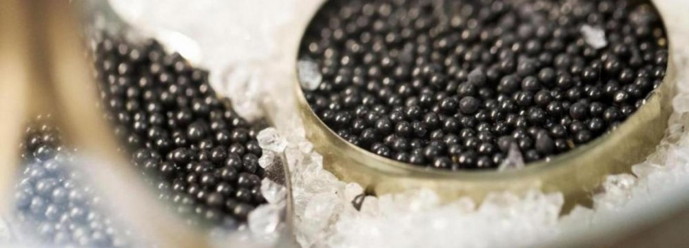 Caviar Production to Increase