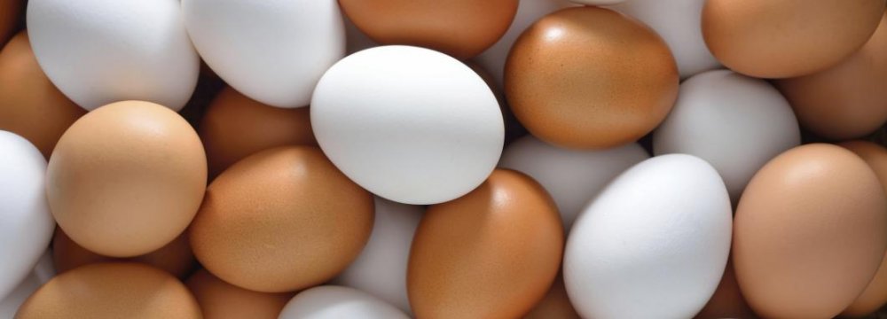 The Cracks in Egg Industry