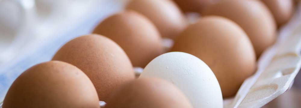 Egg Exports Halved