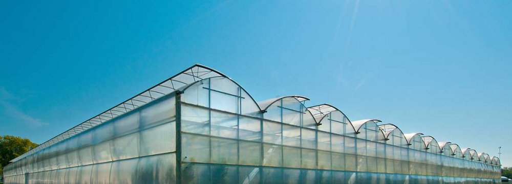 Need to Expand Greenhouse Cultivation