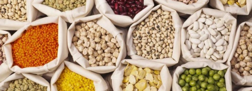 Iran Meets 90% of Need for Pulses
