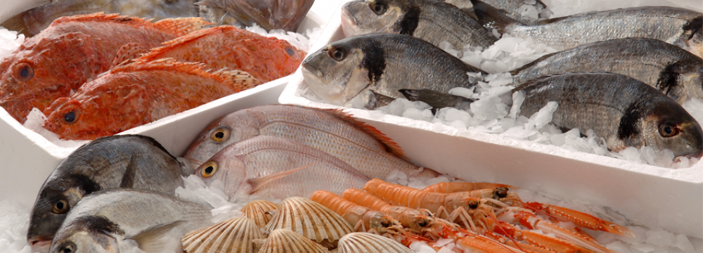 Seafood Production at Record High