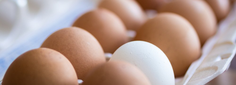 Egg Export Markets Mostly Lost