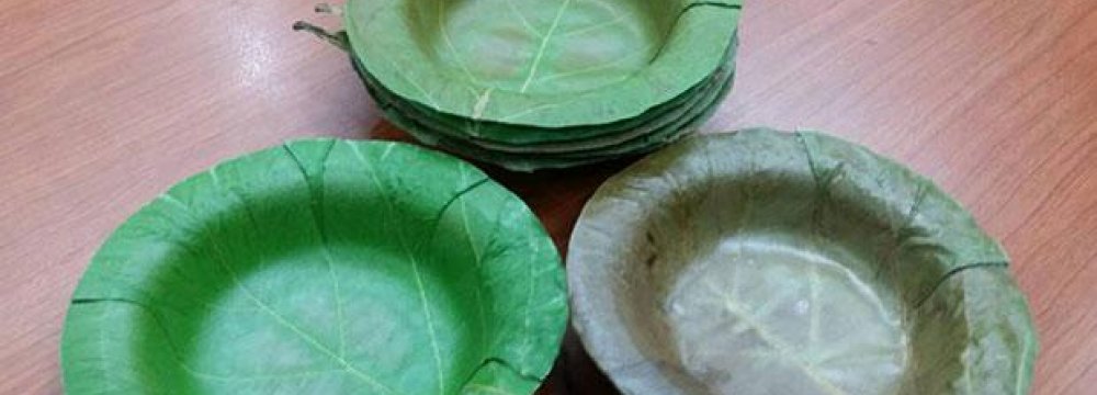 Thai University Develops Bowls From Leaves