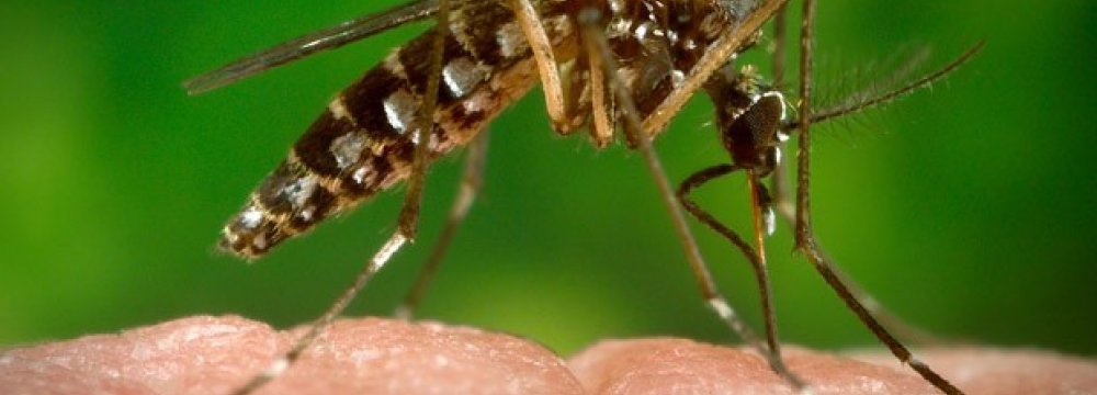 67 Entities Working on Zika Treatment