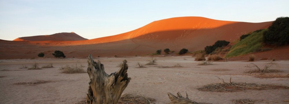 Funds to Check Desertification  