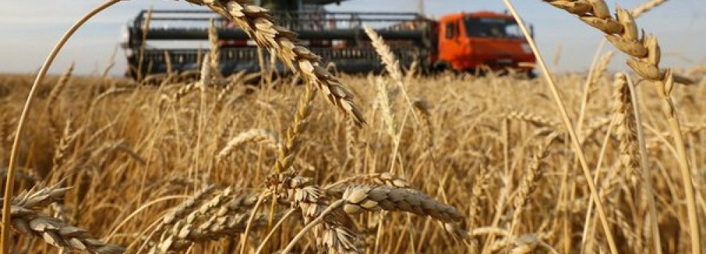 Russia, Canada  Leapfrog US in Wheat Export