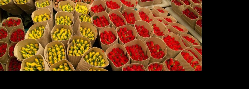 Call for Flower Export  to Regional Markets