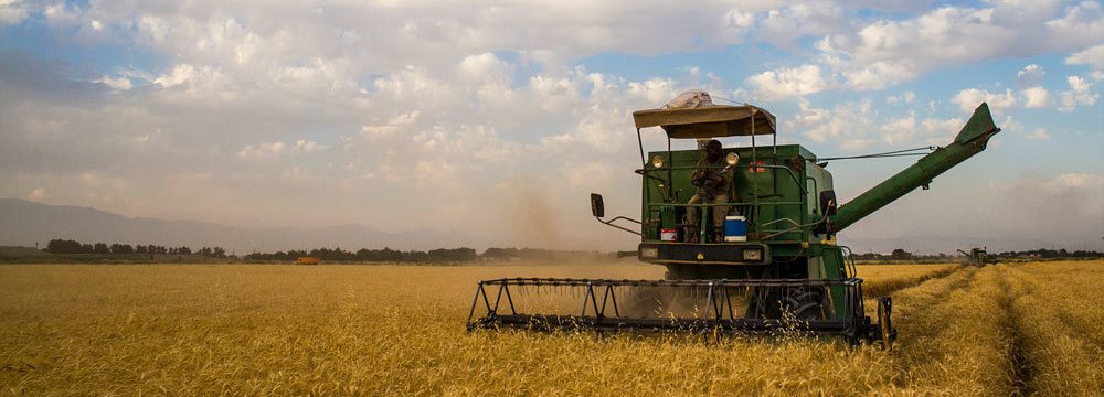 The government has already raised 36.6 trillion rials (nearly $1 billion) to buy wheat from farmers so far in the current fiscal year (started March 20).