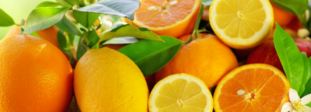 Mazandaran Citrus Fruit Production