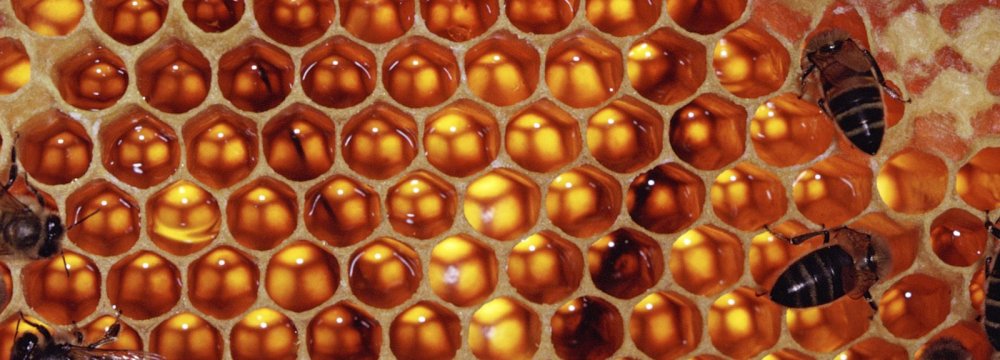 W. Azarbaijan Honey Exports