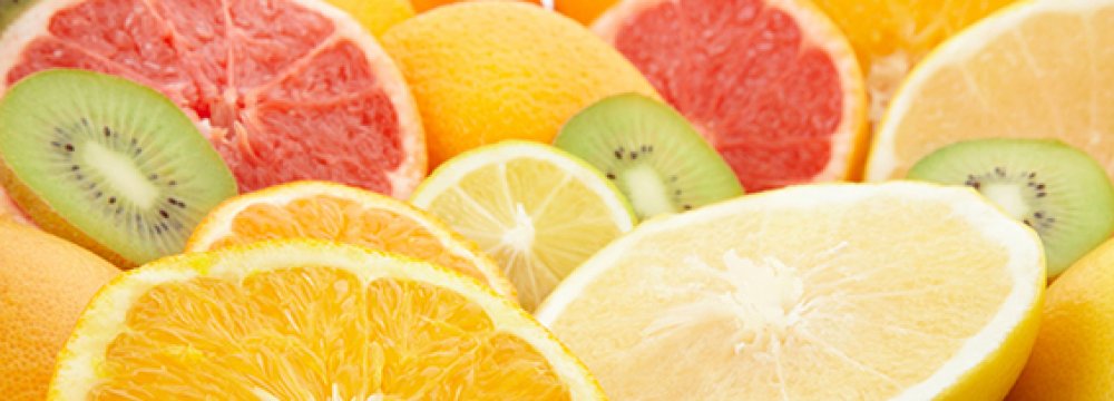 Mazandaran Citrus Exports to Reach 20,000 Tons
