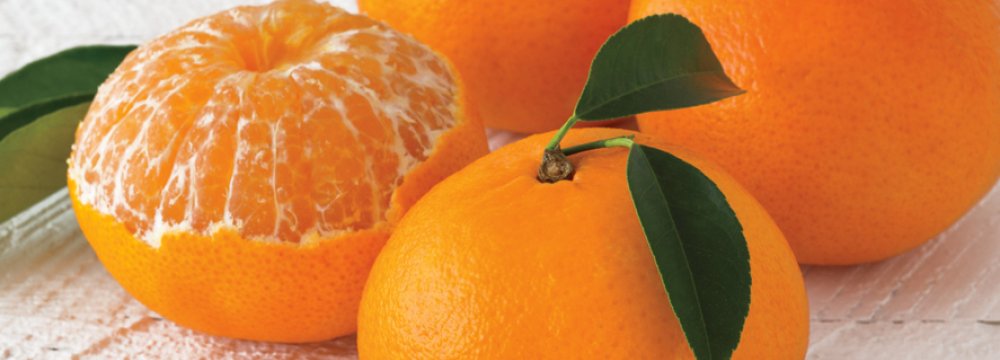 New Regulation on Orange, Tangerine Trade