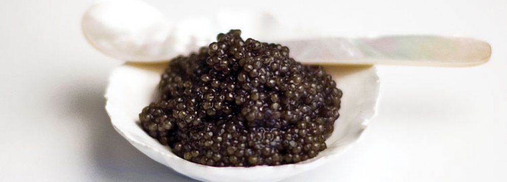 Caviar Export Value Up 22%